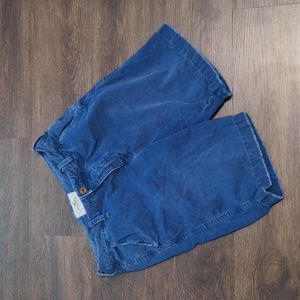 Hollister Men's Size 32 Blue Slightly Distressed Shorts